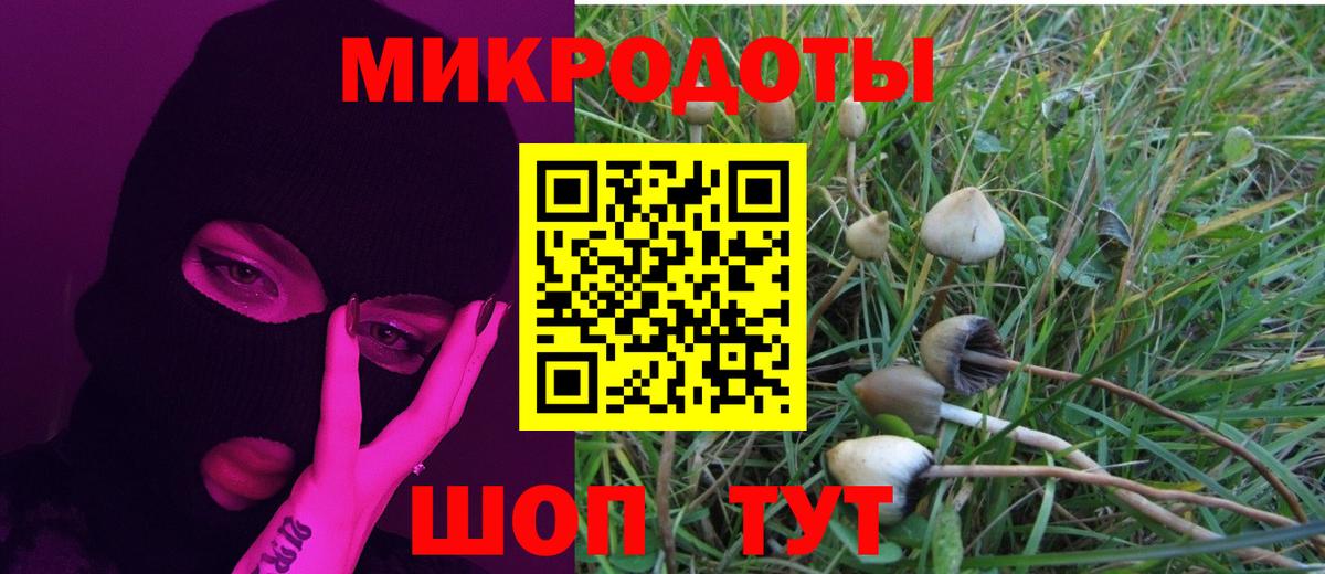 Павловский Посад  Галлюциногенные грибы MAGIC MUSHROOMS  Вход с VPN 